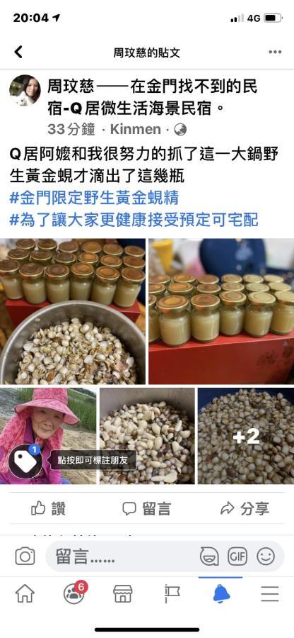 Qg Life 城中館 寵物親子釣魚人民宿 Jincheng Esterno foto