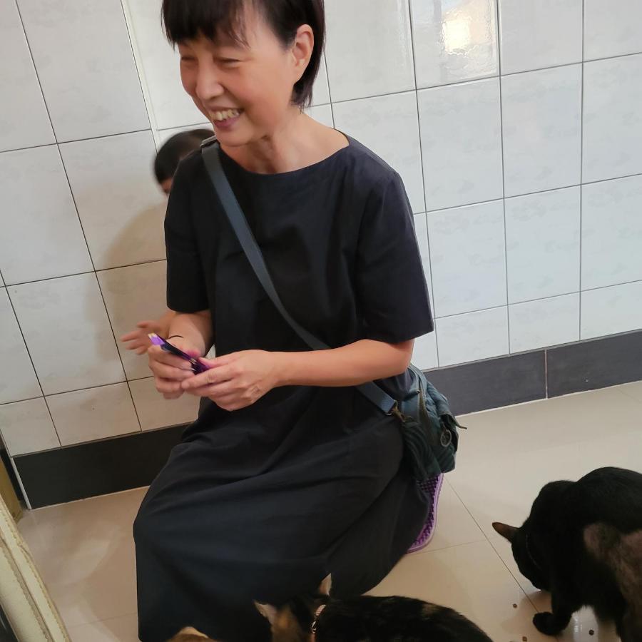 Qg Life 城中館 寵物親子釣魚人民宿 Jincheng Esterno foto