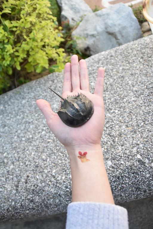 Qg Life 城中館 寵物親子釣魚人民宿 Jincheng Esterno foto