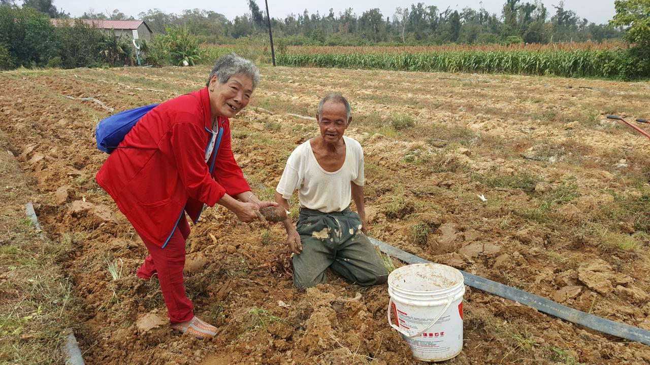 Qg Life 城中館 寵物親子釣魚人民宿 Jincheng Esterno foto