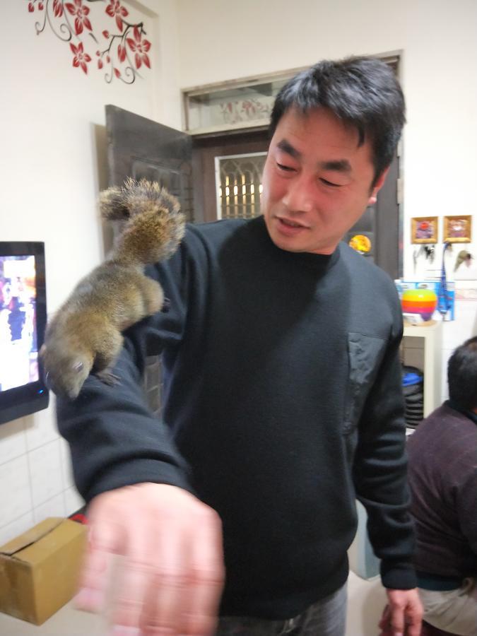 Qg Life 城中館 寵物親子釣魚人民宿 Jincheng Esterno foto