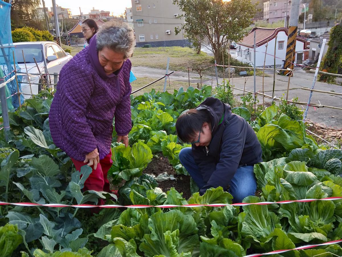 Qg Life 城中館 寵物親子釣魚人民宿 Jincheng Esterno foto